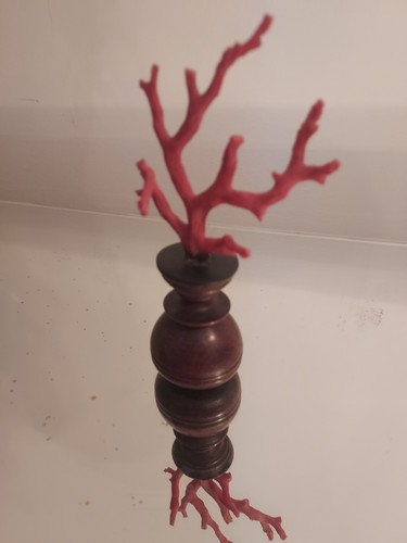 Ancienne branche corail - ancienne,