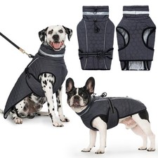 Manteau Chien Imperméable