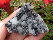 Sphalerite Crystals & Quartz 5x4cm La Sanguinede Gard Minerals Stone Rare