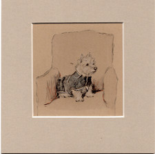 Cecil Aldin ~  West Highland White Terrier ~ Genuine Original  Print 1935