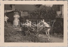 Photo, enfants avec bouc en