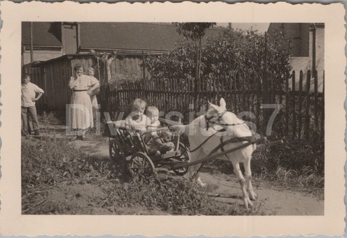 Photo enfants avec bouc - photo,,