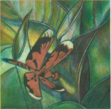 Gravure, taille douce