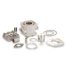 Groupe Thermique Malossi