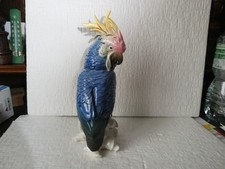 JOLI PERROQUET CACATOES KARL