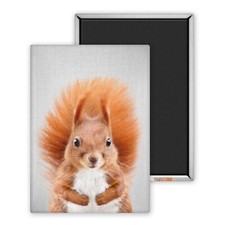 Ecureuil 2-Magnet
