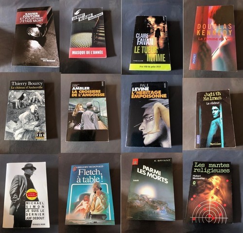 Lot excellents romans - 12,
