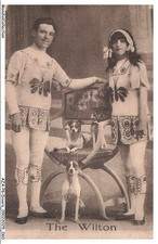 AZAP6-0488-CIRQUE - The wilton