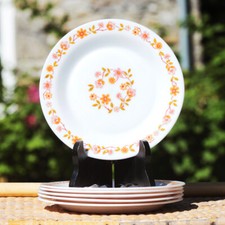 Set of 6 Vintage Arcopal 19cm Dessert Plates Scania Model