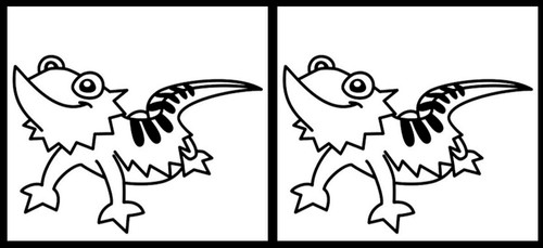 Bearded dragon black - dragon,