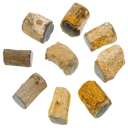 Branche bois fossilisé 4 - de,