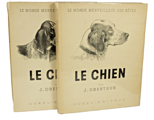 Joseph oberthur chien - joseph,