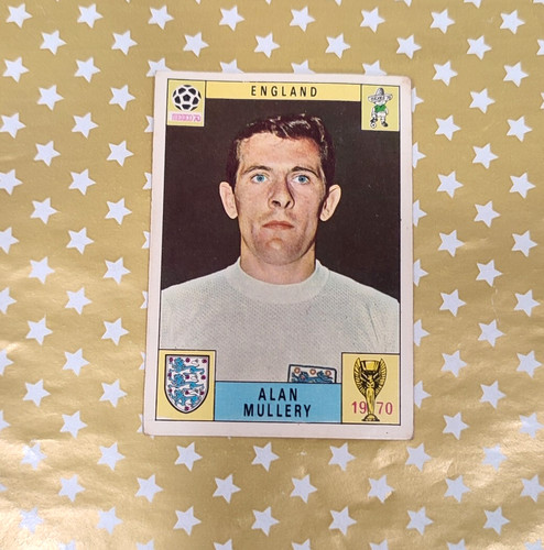 Album panini world - panini, cup