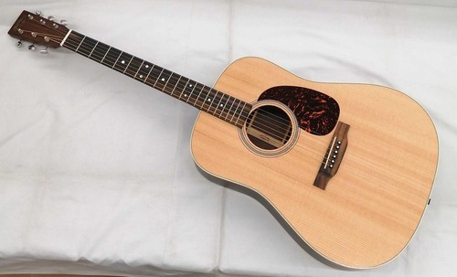 Guitare électrique acoustique
