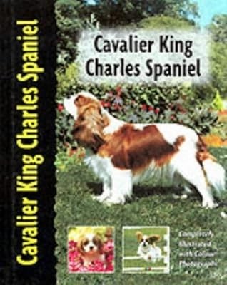 Cavalier king charles spaniel - charles,