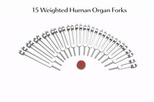 🧬 Pondéré Humain Orgue