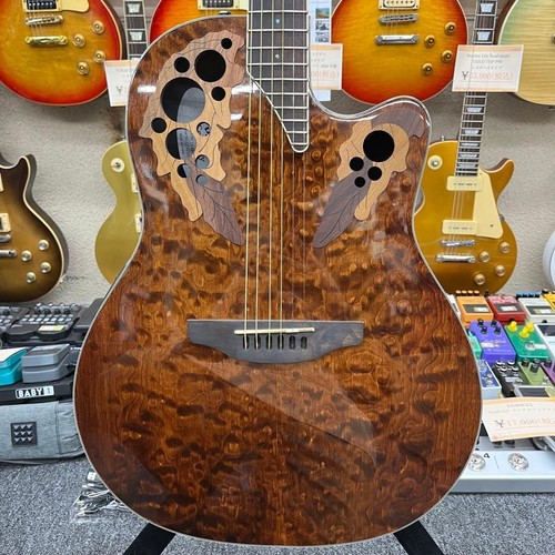 Guitare acoustique électrique