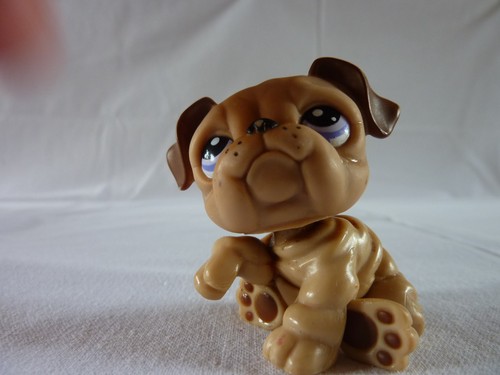 Petshop lps littlest - petshop,