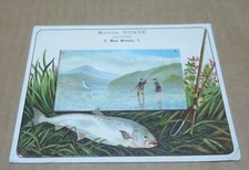 CHROMO Maison Dugué shoes Paris PECHE A LA FLY SALMON