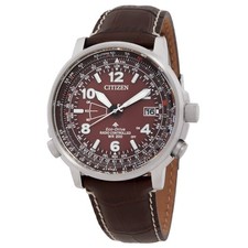 Citizen Promaster Sky