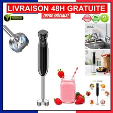 Mixeur Plongeant Professionnel