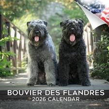 Bouvier Des Flandres Dog Breed Calendar 2026 FULL SIZE 12x24 Made in USA