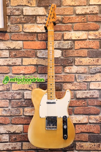 Fender 1975 telecaster - fender, /