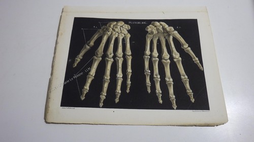 1850 lithographie couleur main - 1850.lithographie,