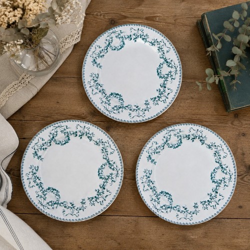 Lot assiettes plates en - lot,