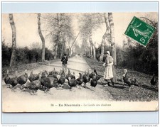 58 - En nivernais - la garde des Dindons