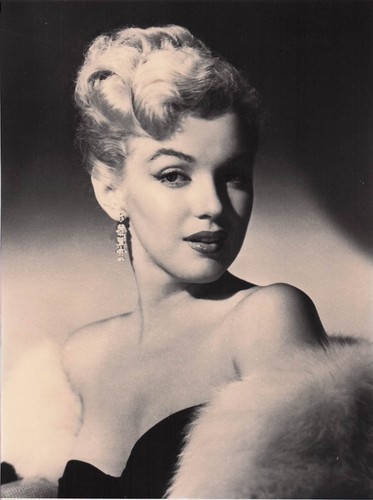 Marilyn monroe photo - monroe,