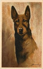 Beautiful Vintage French Art Postcard Collection Chien - Loup (Wolf) Portrait