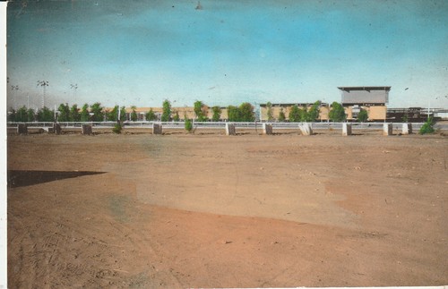 Cpsm amenas oasis - oasis, zone