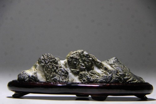 Suiseki bonseki bonsai - bonseki,