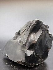 Jet Fine Stone Fossil France Aude Albian Charcoal 170 Gr ~100Ma