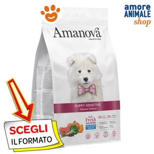 Amanova chien lot croquettes - chien,