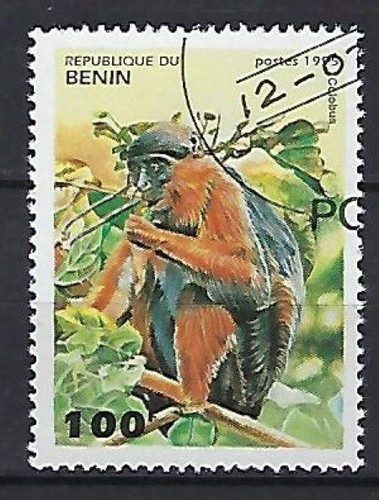Bénin 1995 singes - bénin,