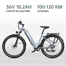 Tout-Terrain Vélo Électrique