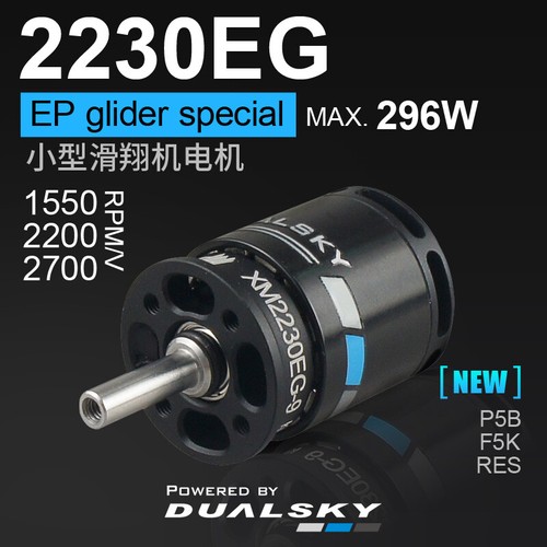 Dualsky brushless motor - dualsky,