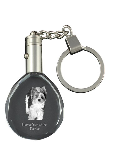 Biewer terrier - biewer, terrier,