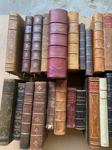 Lot livres anciens - b,