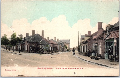 Ferte saint aubin - la,