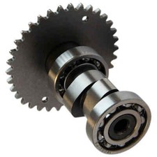 Jack Fox City Étoile 50 Arbre