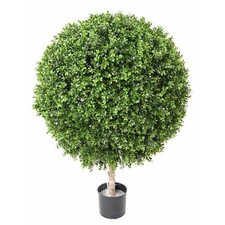 Buis artificiel sur tronc en