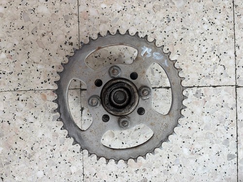 Suzuki 1981 - ,
