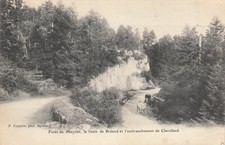 01 MEYRIAT FOREST 93350