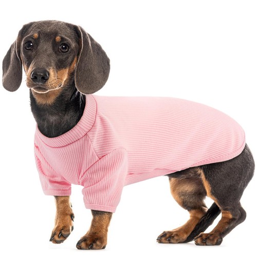 Pull été pour chiens en - pour,