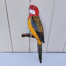 Oiseau perruche omnicolore