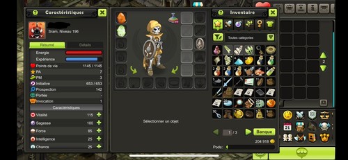 Compte dofus touch sram 197 - dofus,