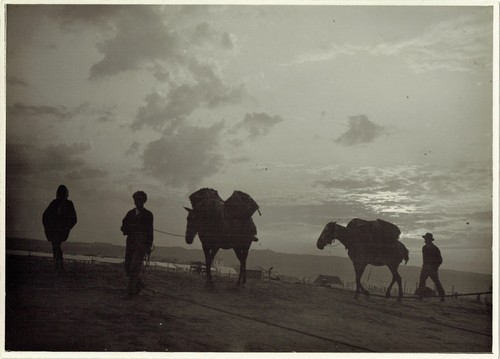 Photo joâo martins - martins, portugal